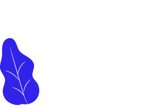Image-layer_2.2
